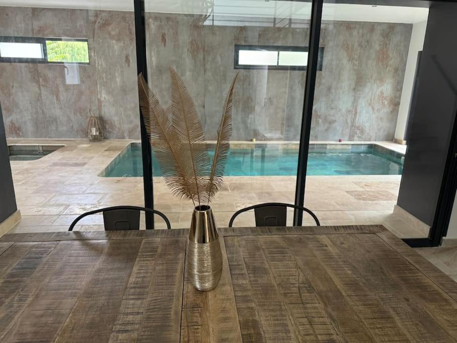 Villa Emotion Spa84 Piscine Interieur Et Jacuzzi