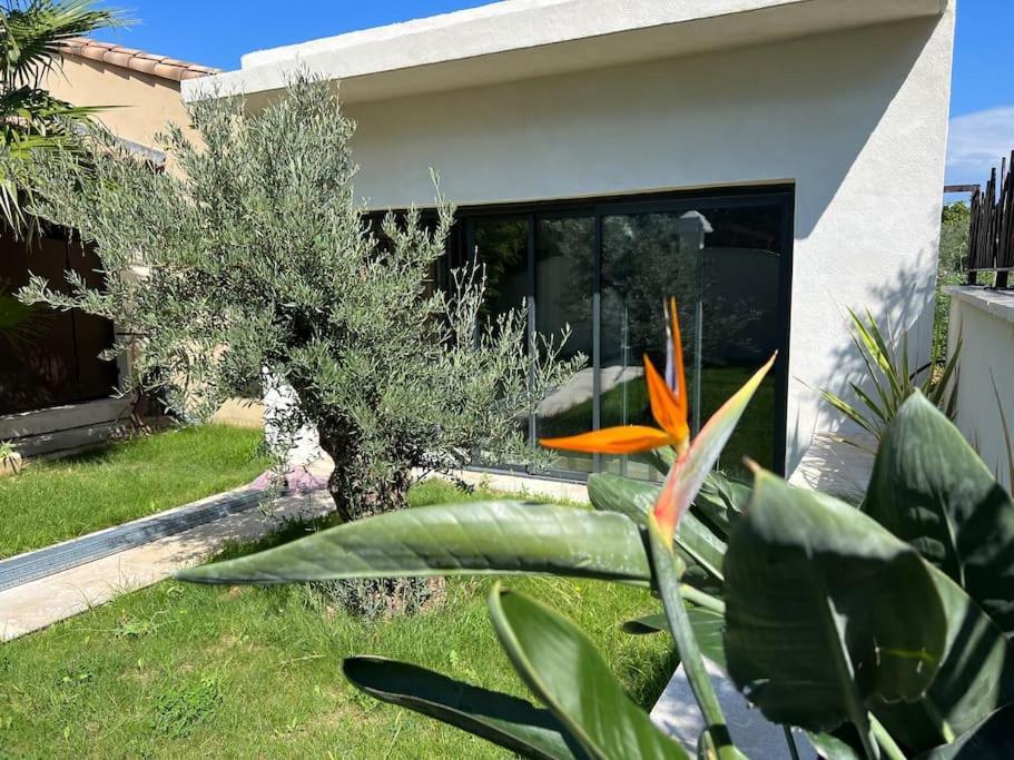 Villa Emotion Spa84 Piscine Interieur Et Jacuzzi Mondragon